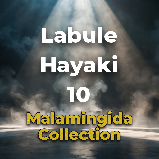 HAYAKI BG