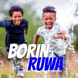 BORIN RUWA